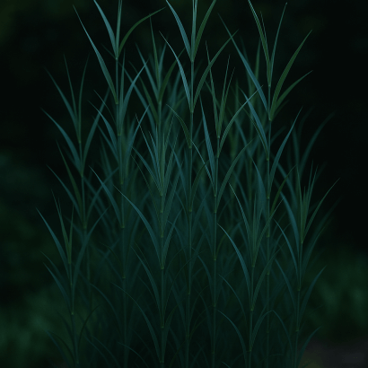 이국적인 대나무 실루엣! 뱀부 벨뱅크로 연출하는 정원의 선