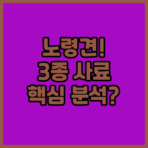 실내견 노령견 대형견 맞춤 강아지 사..