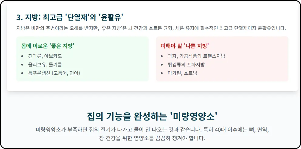 지방 (최고급 '단열재'와 '윤활유')