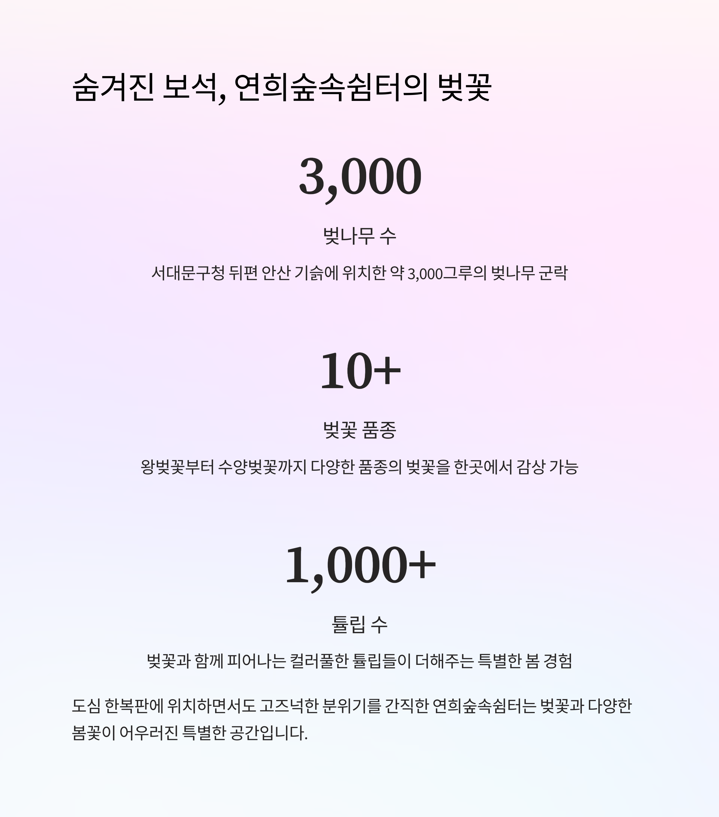 서울 수도권 숨은 벚꽃 명소 TOP 5