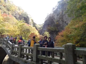 청송 주왕산 여행 코스 폭포 산책 주차 가을 단풍 포인트_11