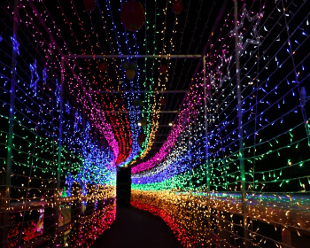 청송사과축제_8