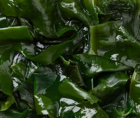 갑상선에 좋은 음식