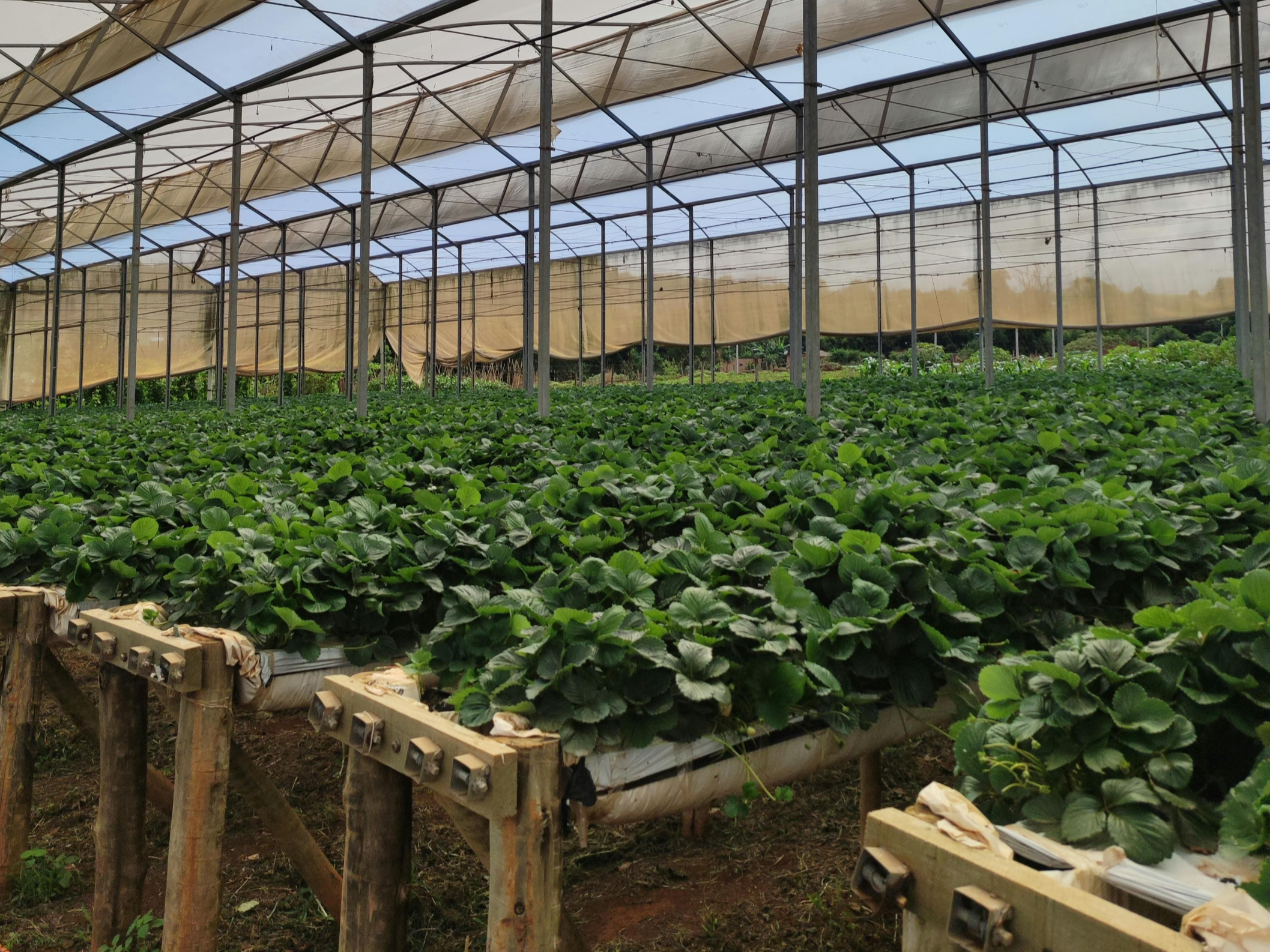 스마트팜이 늘어나면 농촌은 실제로 어떻게 달라질까