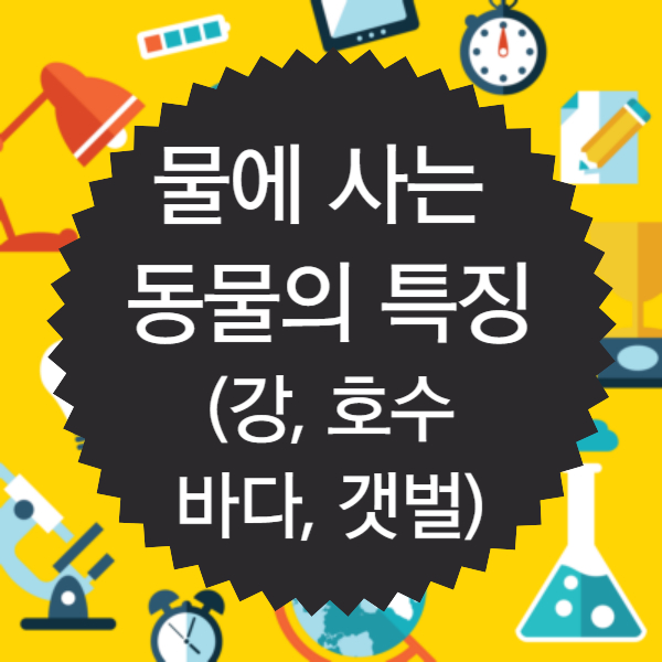 물에 사는 동물의 특징