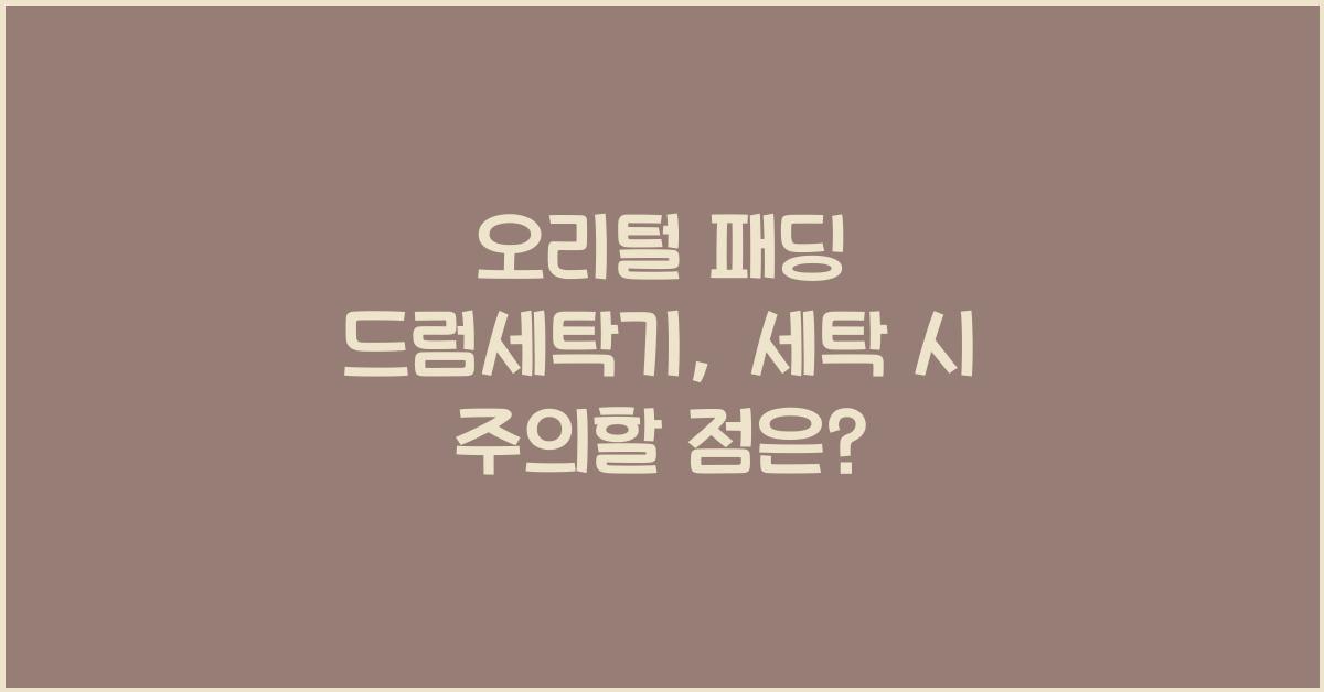오리털 패딩 드럼세탁기