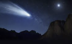 ENFP 유형 특징 분석