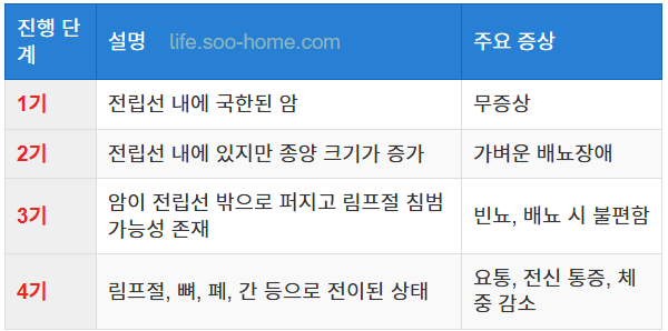 전립선암의 진행 단계