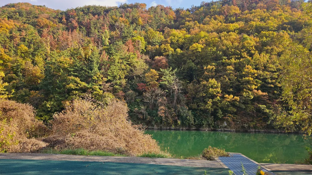 밀양 용두연유원지