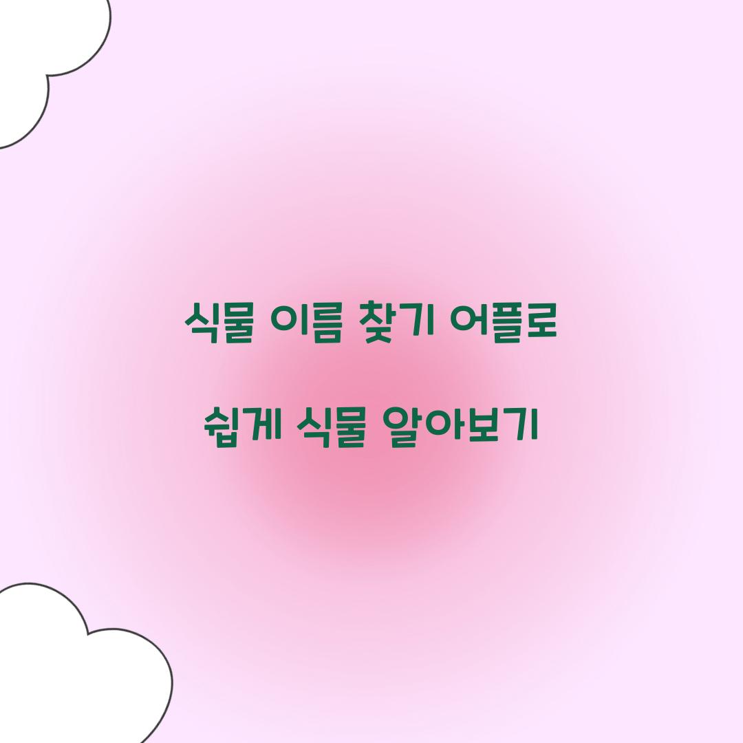 식물 이름 찾기 어플