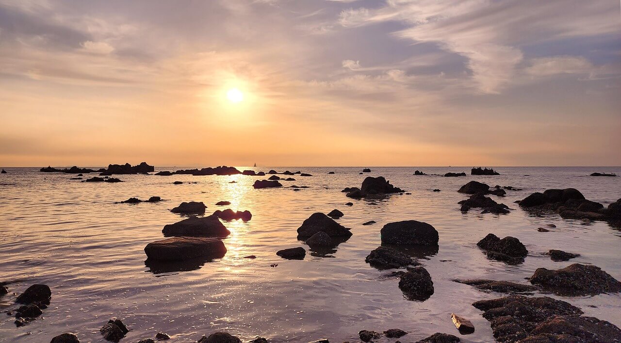 세종시근교바다