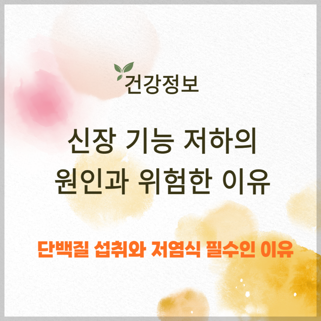 신장 기능 저하 원인과 위험성 ❘ 단백질 섭취와 저염식이 필수