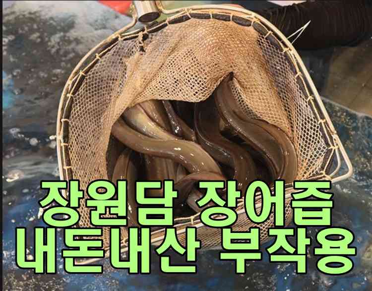 장원담 장어즙 내돈내산 부작용