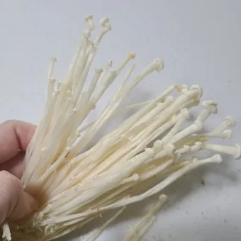 팽이버섯 효능_17