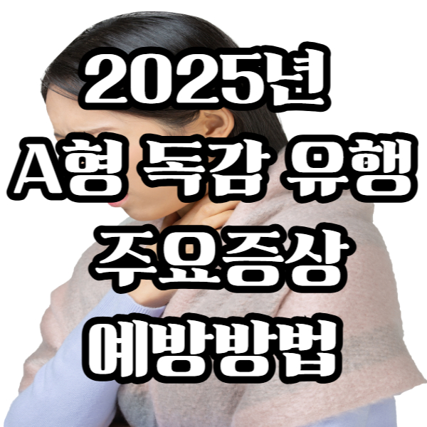 2025년 A형 독감 유행, 주요증상,예방방법