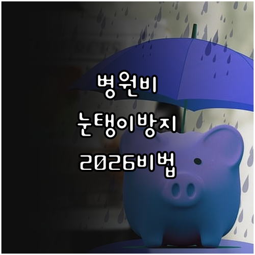 병원비 눈탱이 방지 2026년 비급여..