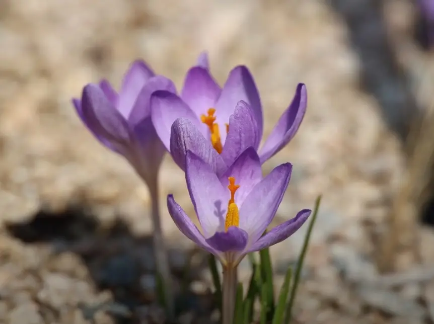 일월수목원-입장료-주차요금-관람시간