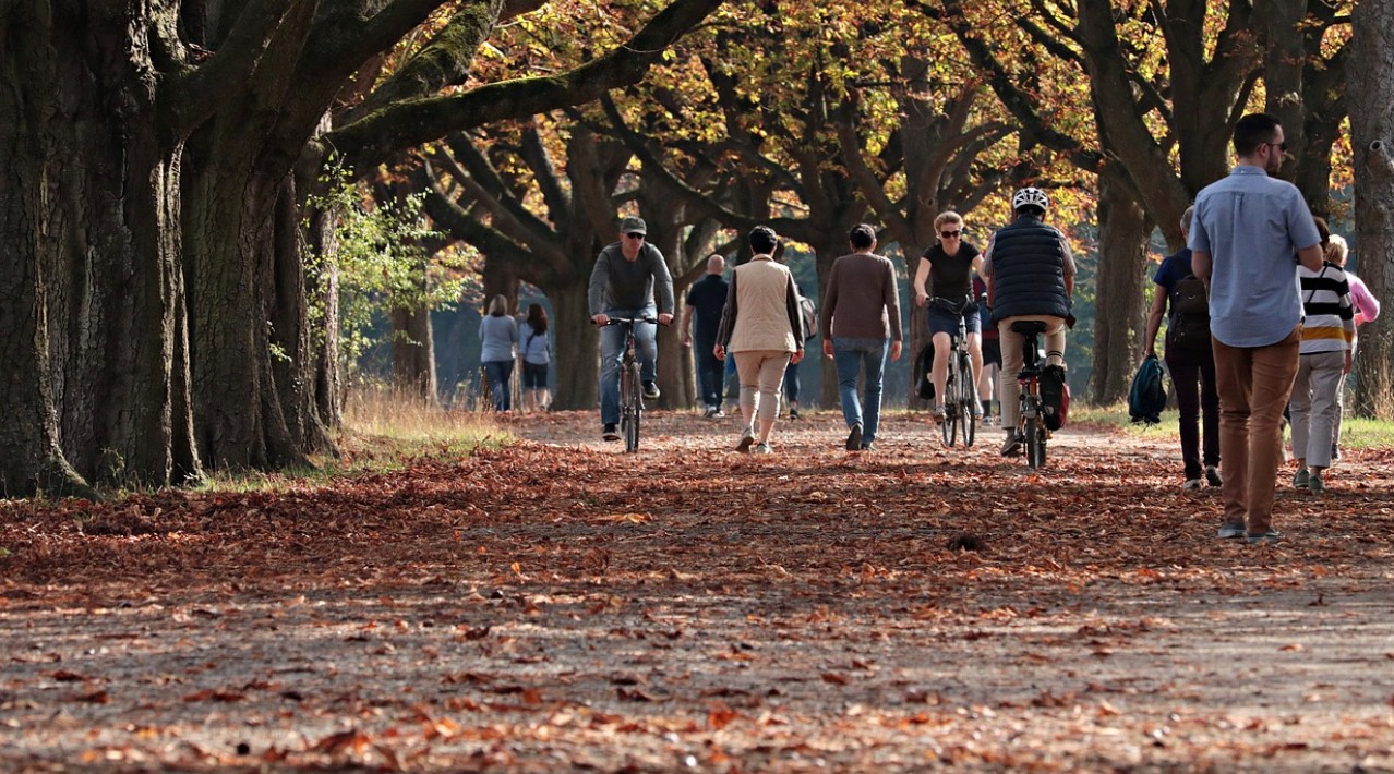 숲 길을 산책하는 사람들