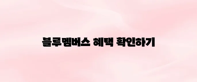 현대자동차 블루멤버스 홈페이지 바로가기