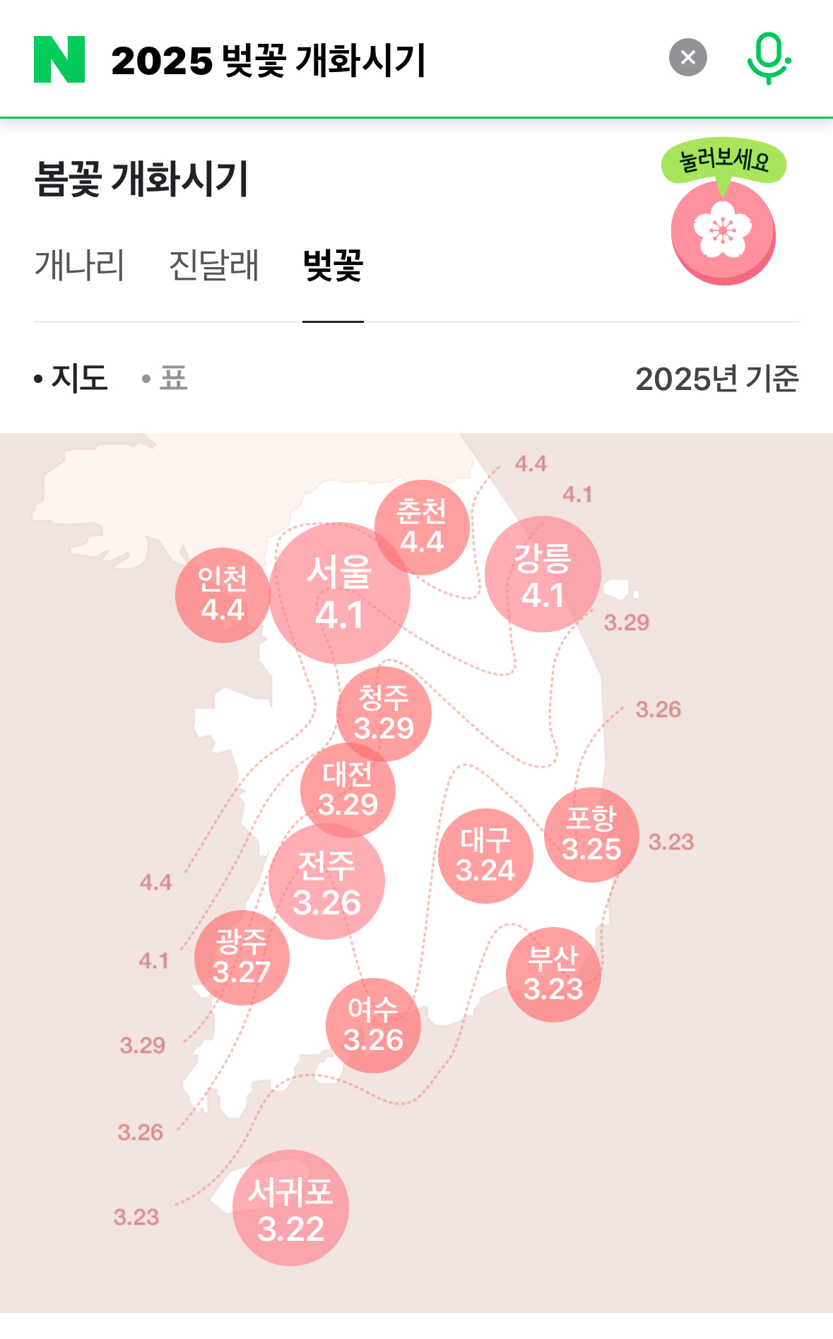 네이버 2025 벚꽃개화시기