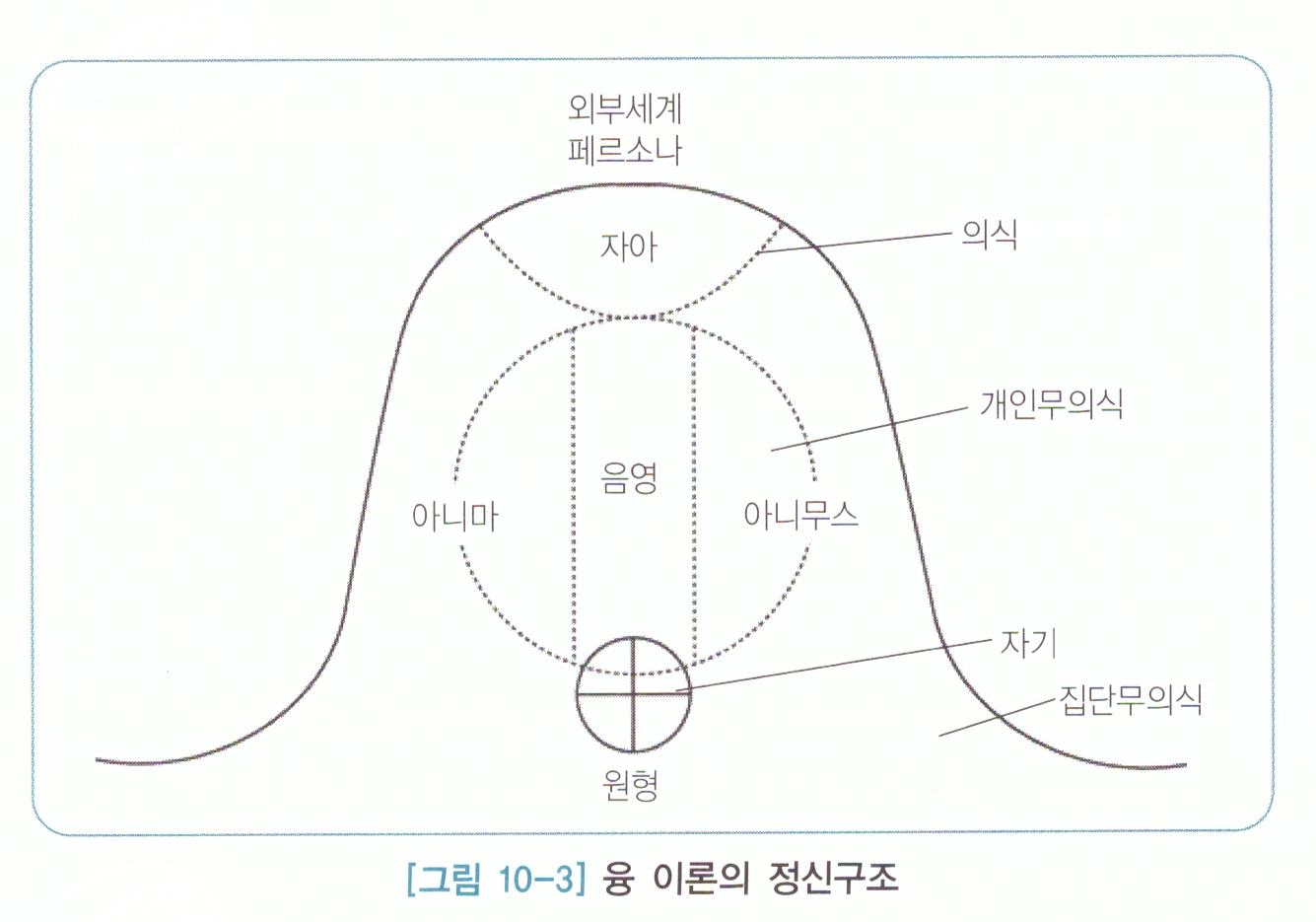 성격이론 발달 주요 개념,페르소나,성격의 음형,아니마와 아니무스,무의식적 갈망