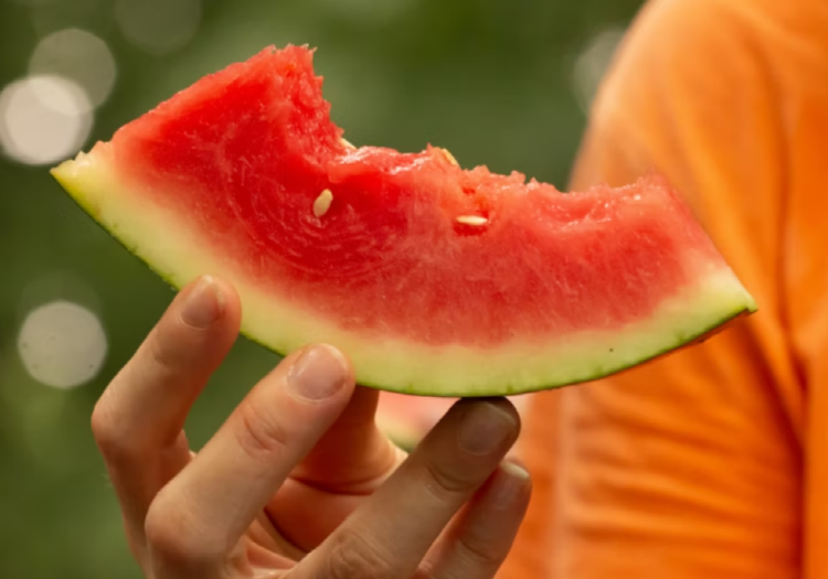 수박 칼로리 효능