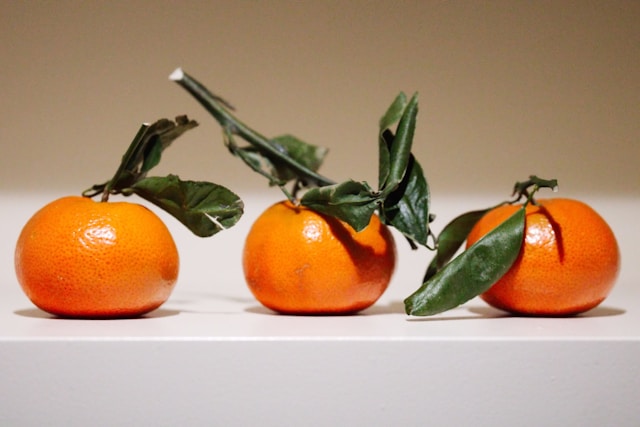 레드향 한라봉 천혜향 차이 제철 완벽정리