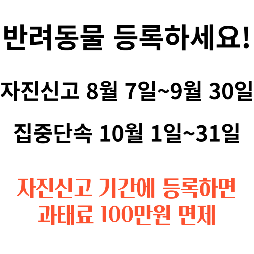 반려동물 등록제 자진신고기간