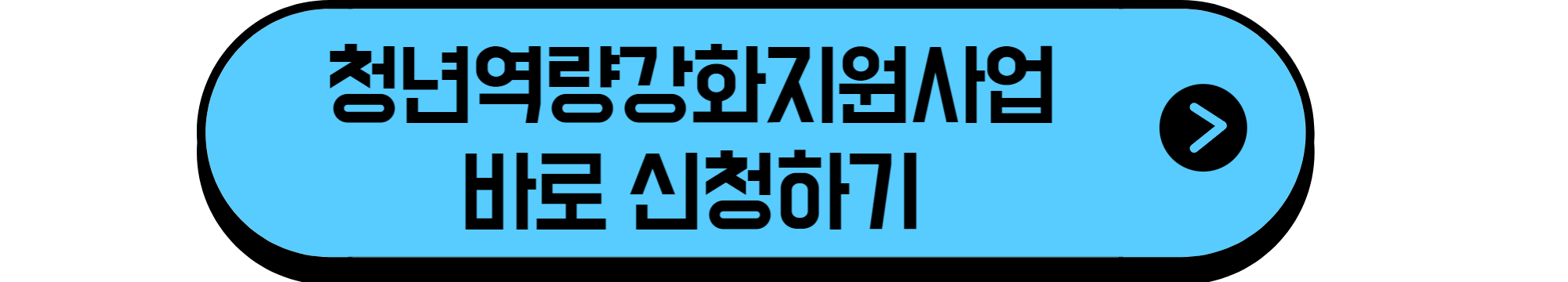 청년역량강화기회지원사업