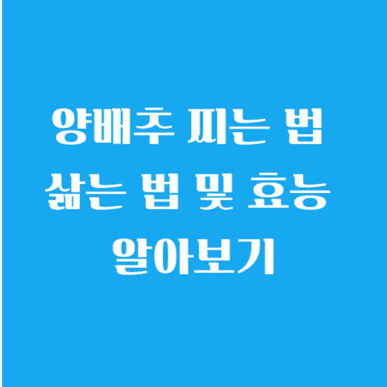 양배추 찌는 법 삶는 법 및 효능 알아보기