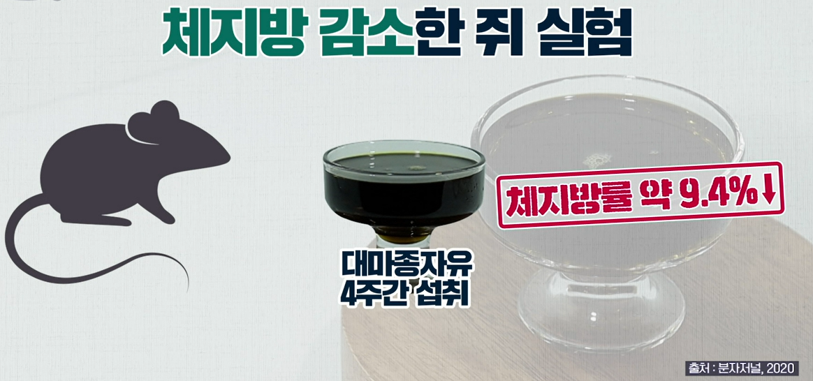 대마종자유 효능