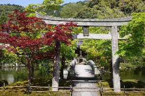 교토 여행 추천 에이칸도 젠린지