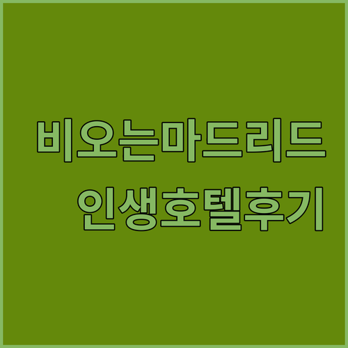 비 오는 마드리드 카사 데 라 파나데..