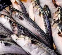 불포화지방산 음식 효능 종류 고기