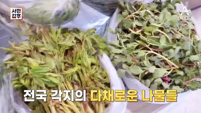 서민갑부 385회 오늘 제철나물을 데쳐 오늘 배송하는 꼼꼼하게 선별한 제철 나물로 연 매출 60억 나물 파는 곳 인터넷 전국 택배 주문 방송 정보