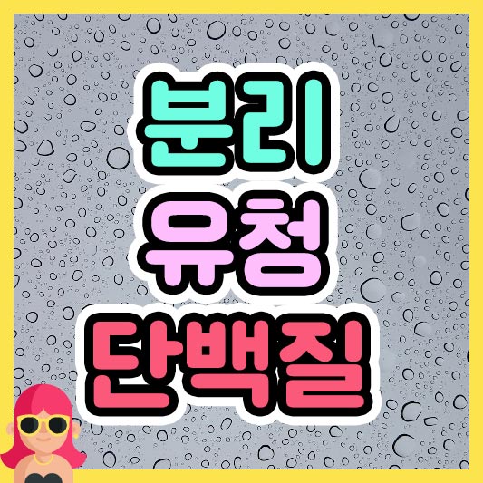 섬네일 분리 유청 단백질