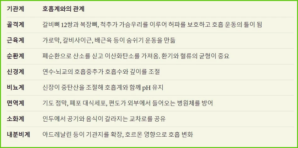 호흡계와 다른 기관과의 관계 @화면캡처