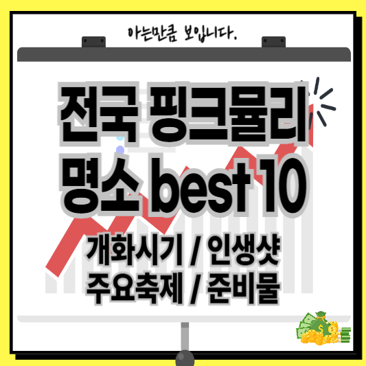 전국핑크뮬리명소인생샷축제개화시기