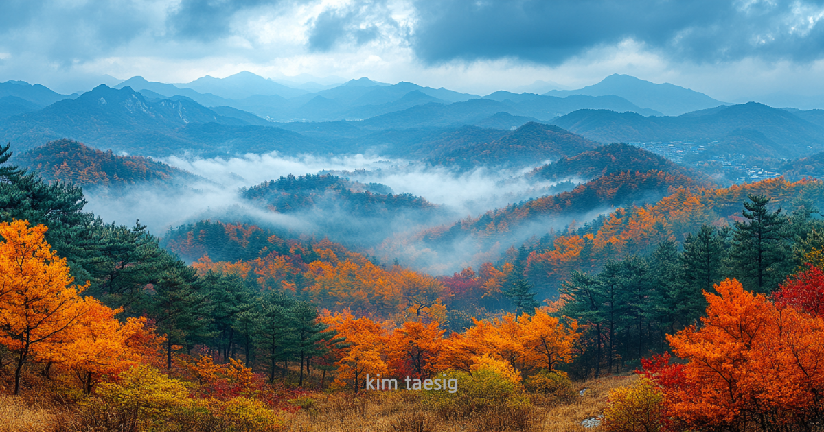 금수산의 사계절