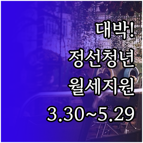 2026 정선군 청년월세지원 신청기간..