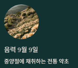 가을꽃 종류 5가지