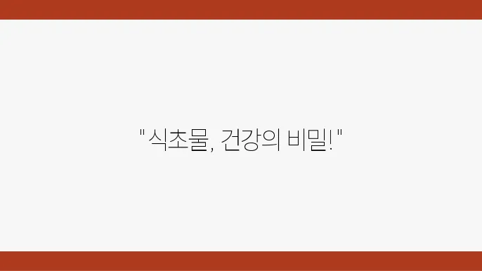 식초물 효능 5 가지