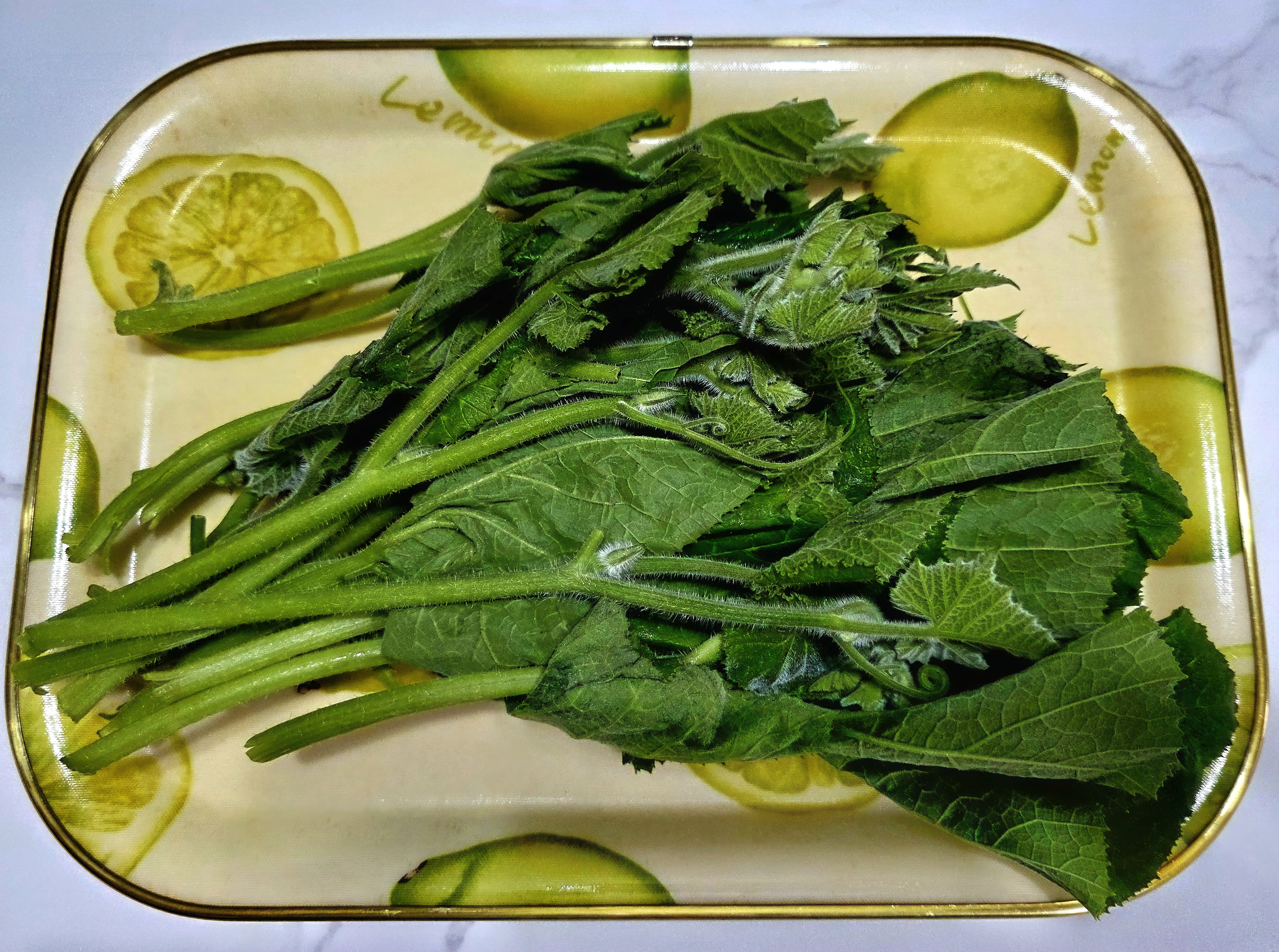 호박잎이-싱싱했어요.