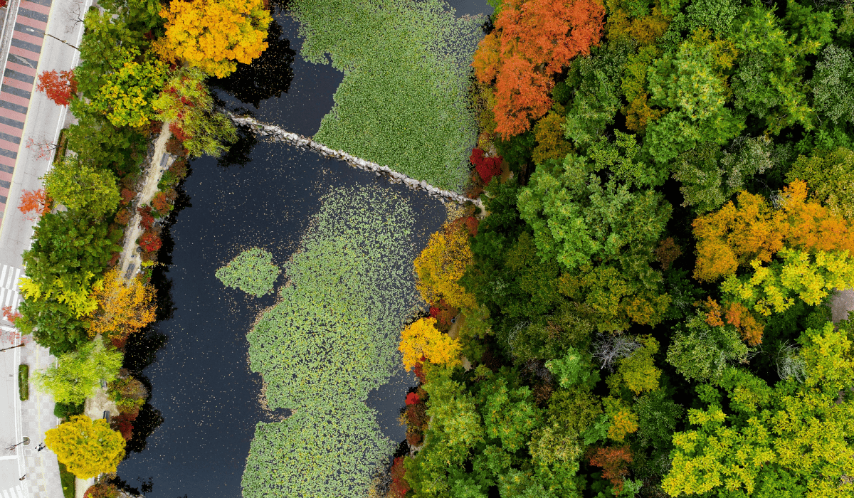 드론_자격증_취득방법_35