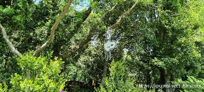 제주스누피가든