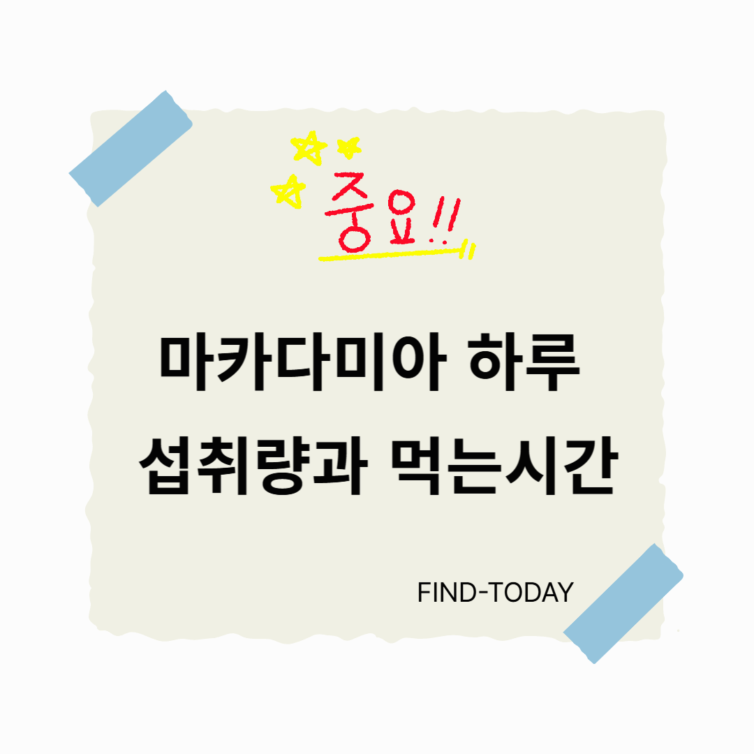 마카다미아 하루 섭취량과 먹는시간