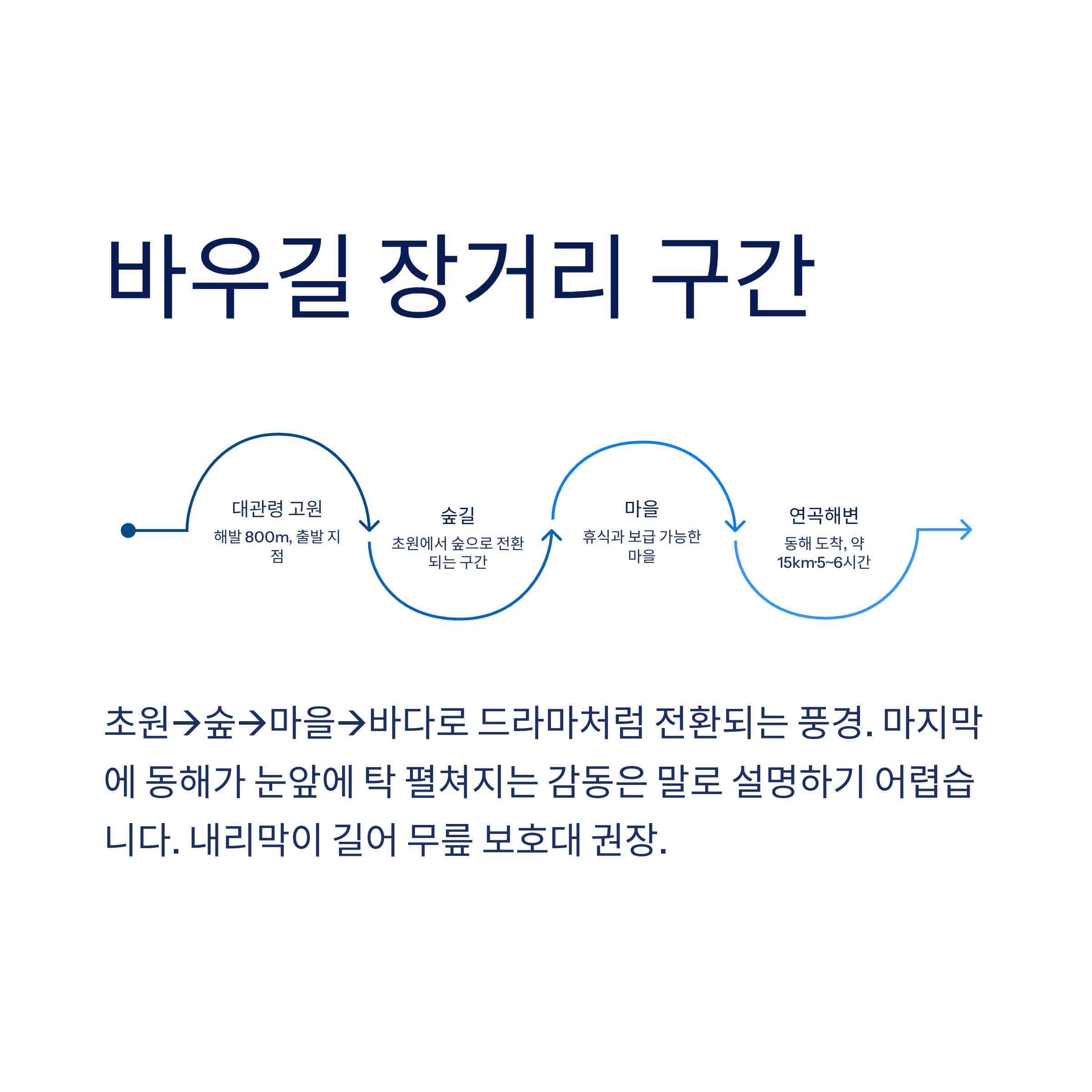 강릉 근교 산책 달리기 트레킹 코스 추천 ❘ 바다와 소나무 숲 사이를 걷는 법