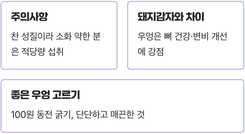 골다공증 예방, 뼈 건강에 특히 좋은 우엉효능