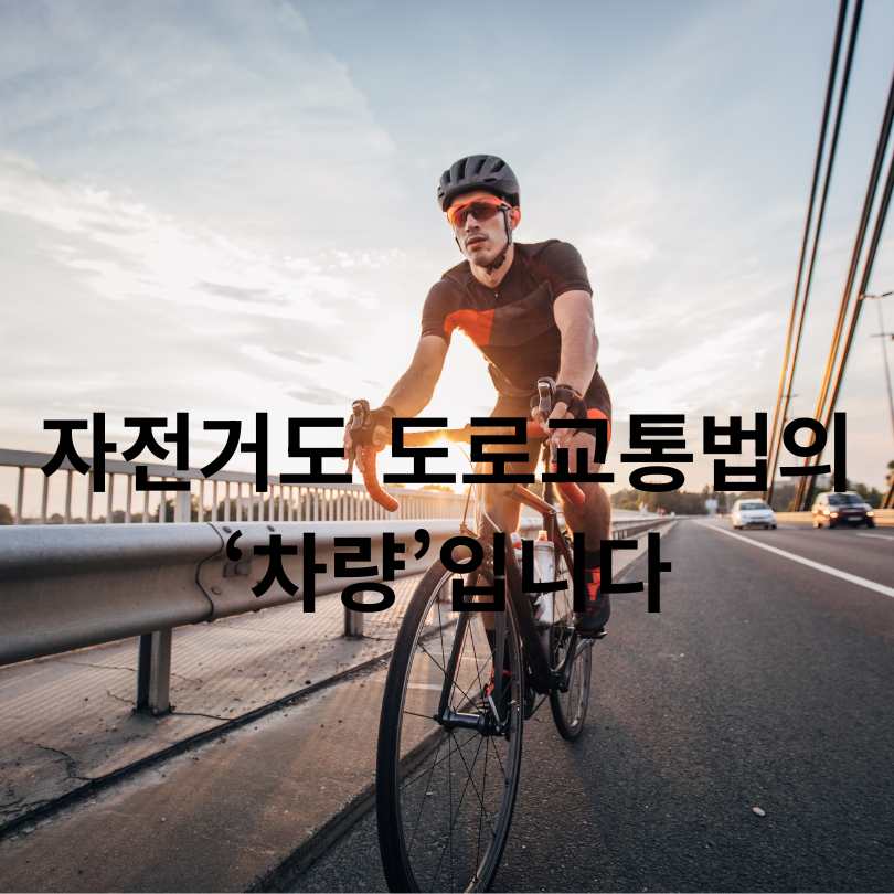 자전거 교통법규 총정리 : 범칙금까지