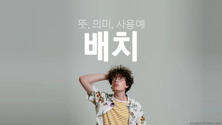 배치 뜻 배치 뜻